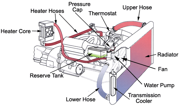 How To Flush Cooling System